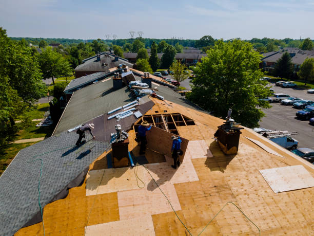 24/7 Emergency Roof Replacement experts in Scranton, SC